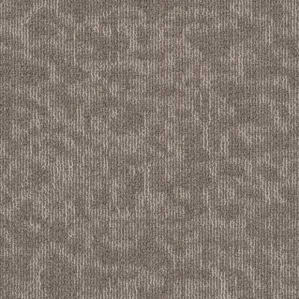 ABALONE 00502