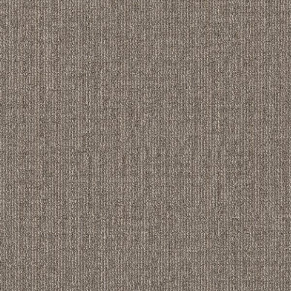 ABALONE 00502