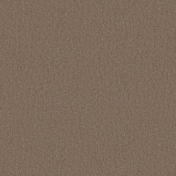 AMPLE 00230