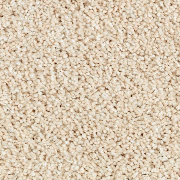 Antique Ivory