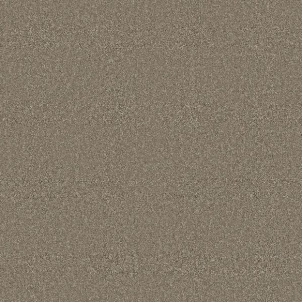 BARN WOOD 00714