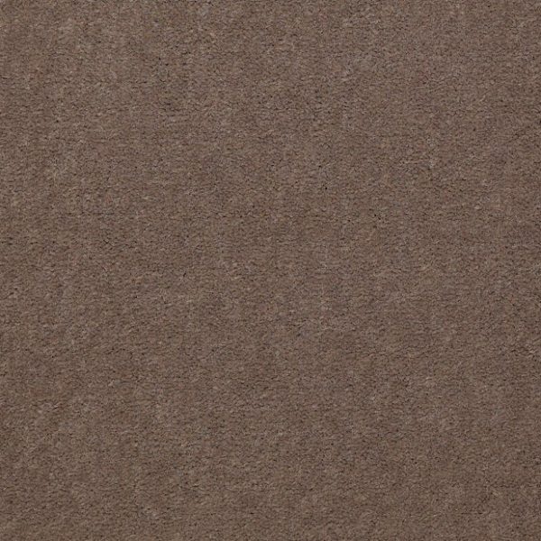 BASHFUL TAUPE 65742