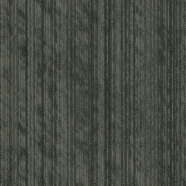 BIND 00510