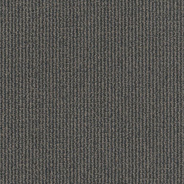 BROADCAST 00508