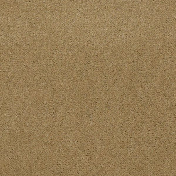 BUTTERSCOTCH 56191