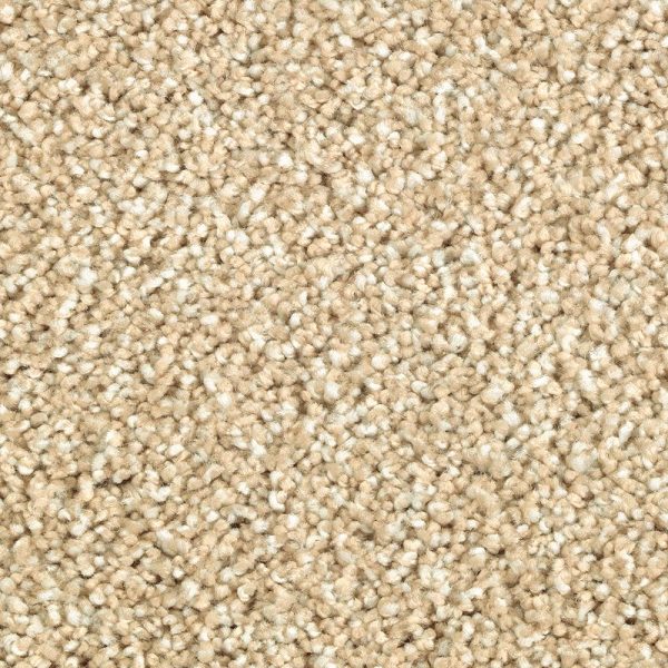 Beach Pebble
