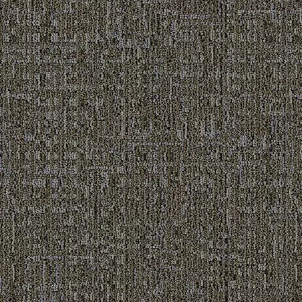 Birch