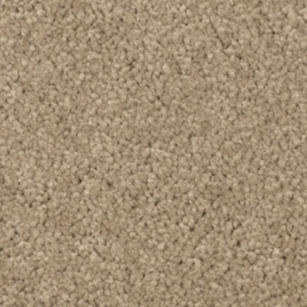 Brushed Suede