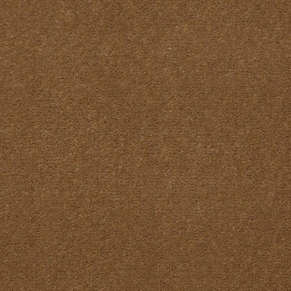 CAJUN 56250