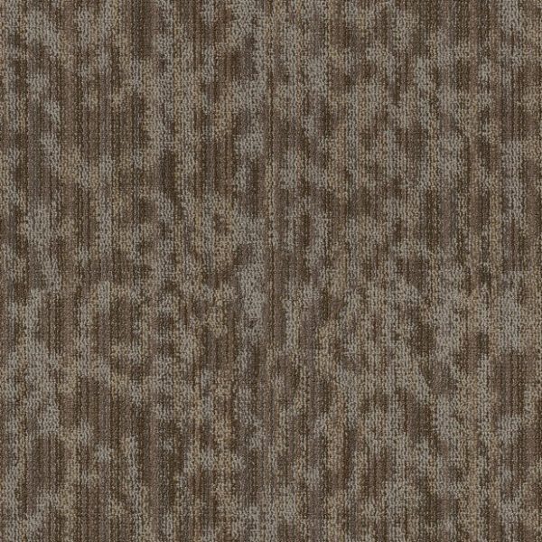 CANOPY 00710