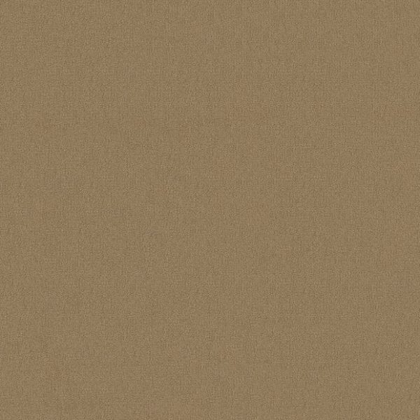 CANYON DUST 56144