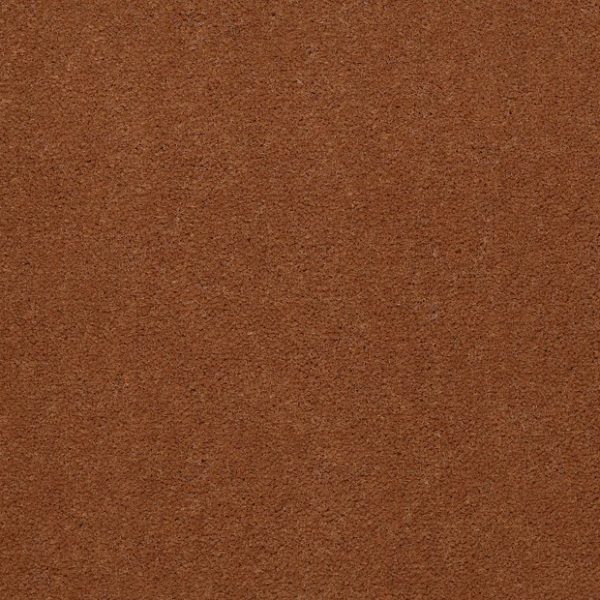 CANYON RIM 56291