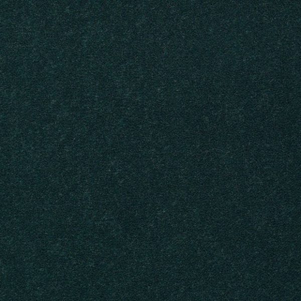 CAPRI 56343