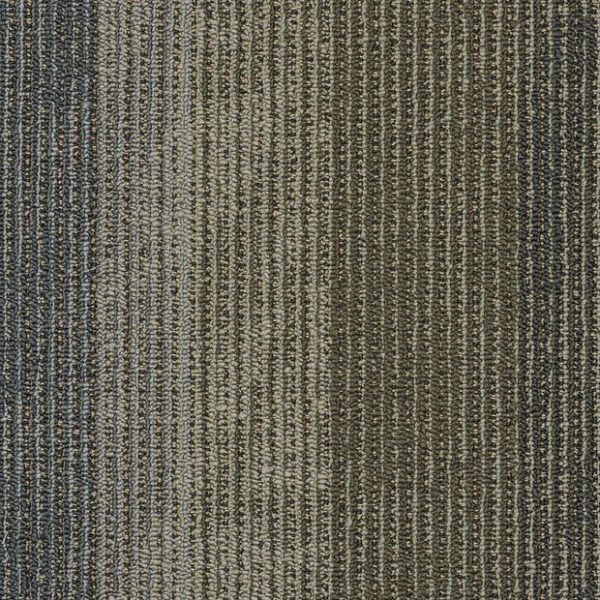 CIRCUIT 00301