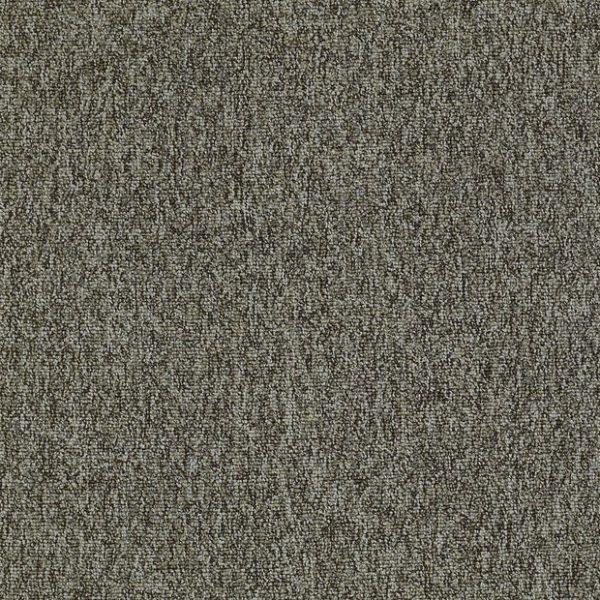 CLUSTER 00505