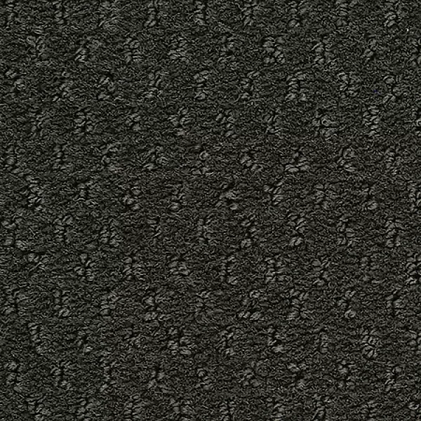 Charred Wood