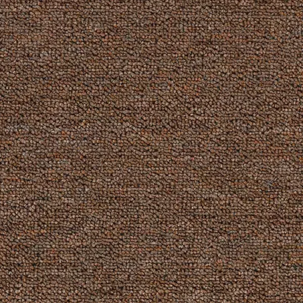 Chestnut