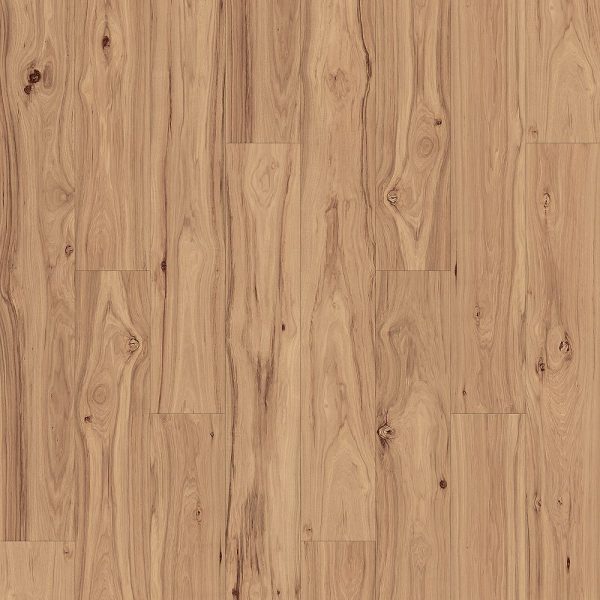 Clove Hickory