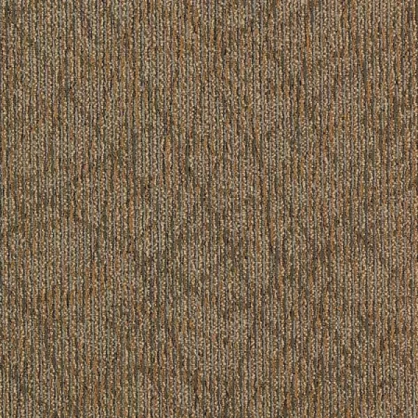 Completely Intuitive