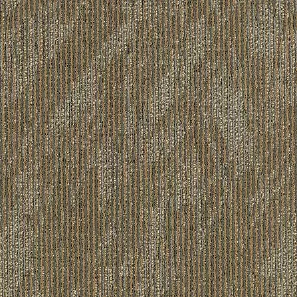 Completely Intuitive