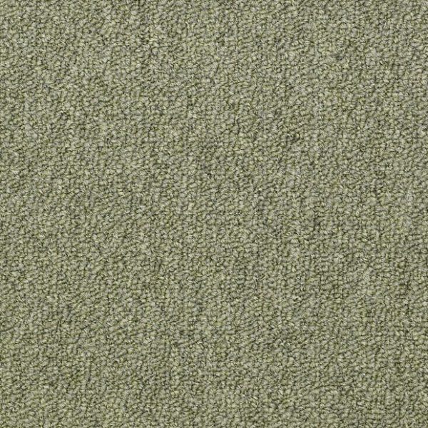 DISTINGUISHED 80301