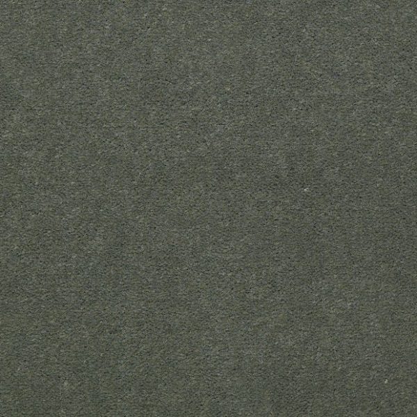 DRIED SAGE 56341