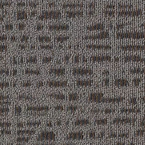 Delightful Discovery