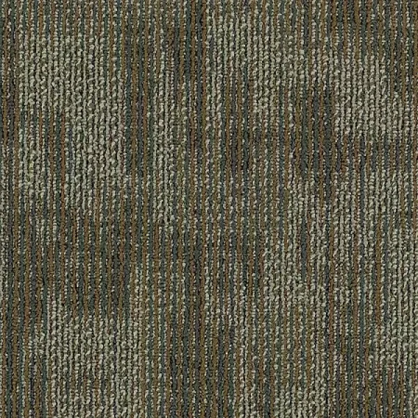 Delightful Discovery