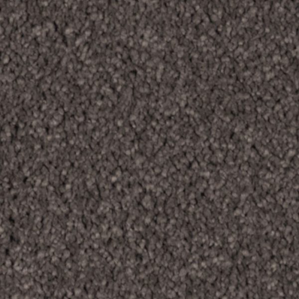 Dried Peat