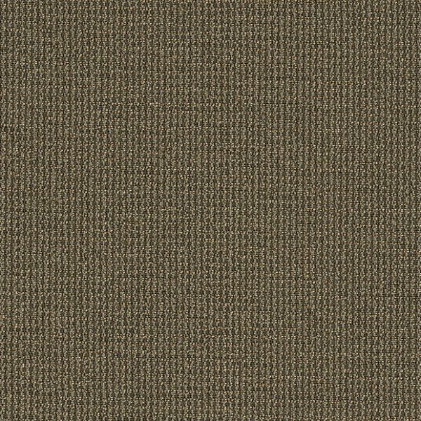 EDITIONS 00320