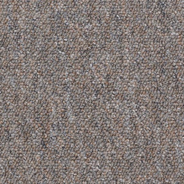 ELECTORAL VOTE 80570