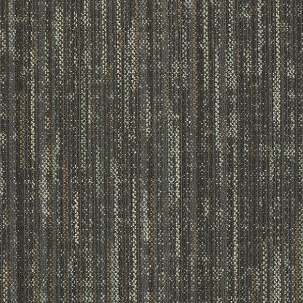 EMBRACE WISDOM 00510