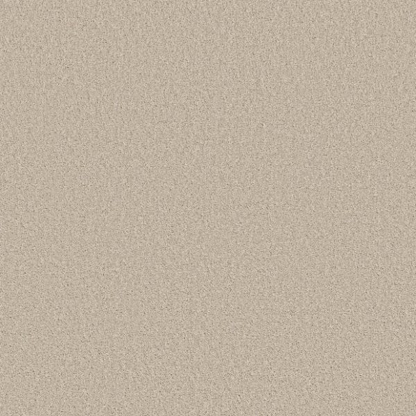 FRESH PERSPECTIVE 00117