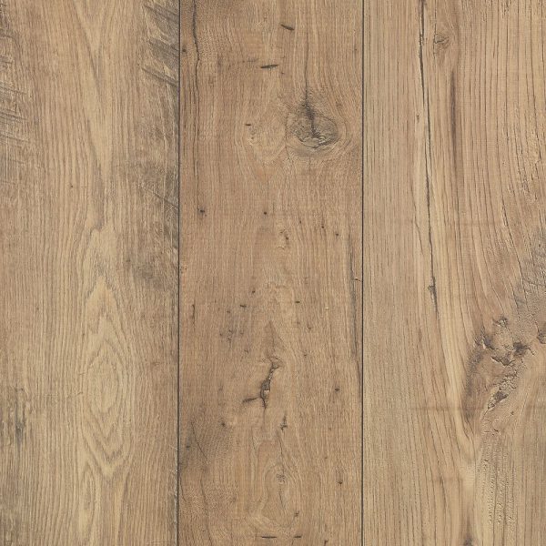 Fawn Chestnut