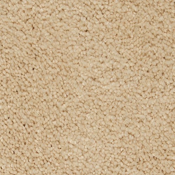 Fine Vellum