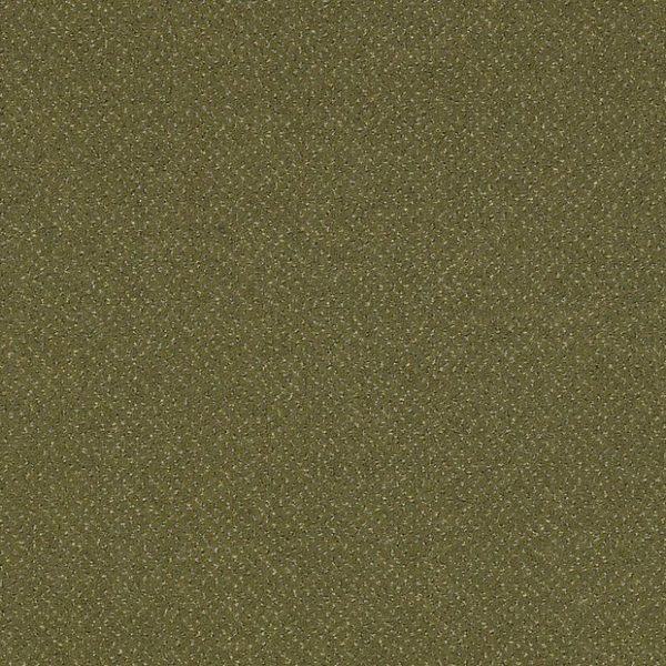 GEN NEXT 44302
