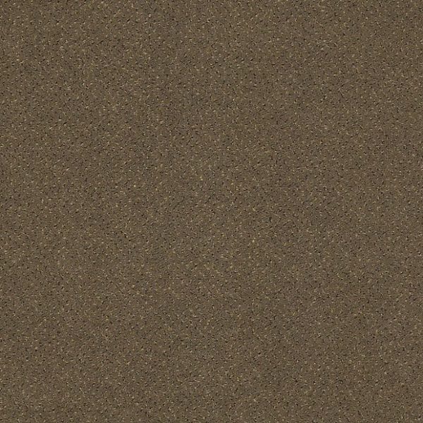 GEN WE 44502