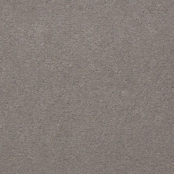 GRAY HARE 56510