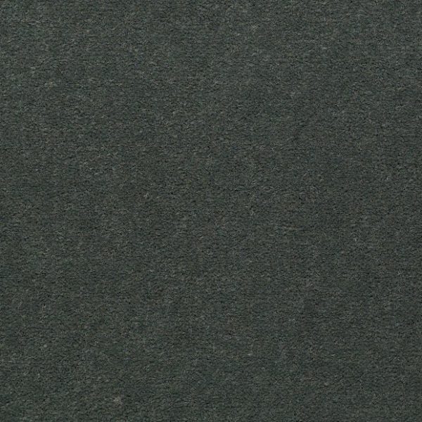 HEDGE 56340