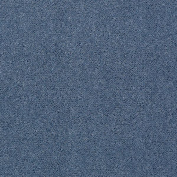 HOLLAND BLUE 56464
