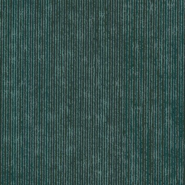 HOLOGRAM 00300