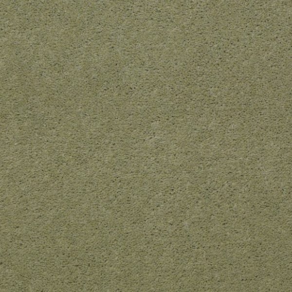 ISLAND GREEN 56370