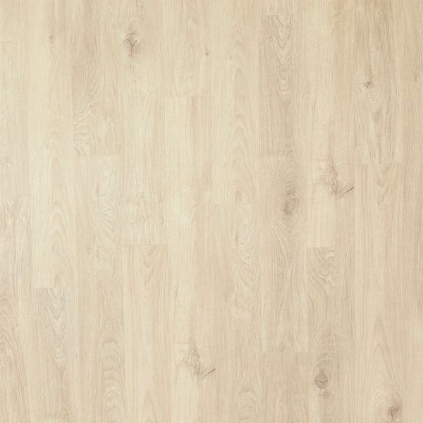 Iris Oak
