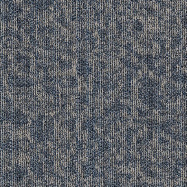 LARKSPUR 00406