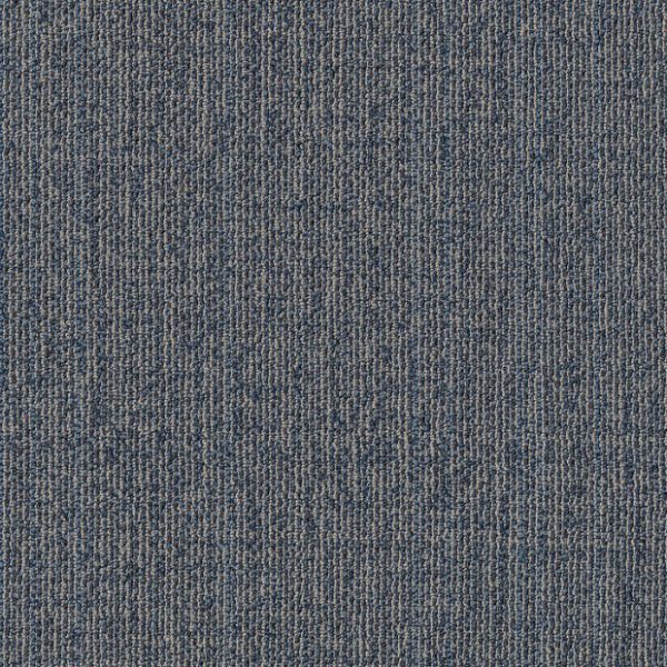 LARKSPUR 00406
