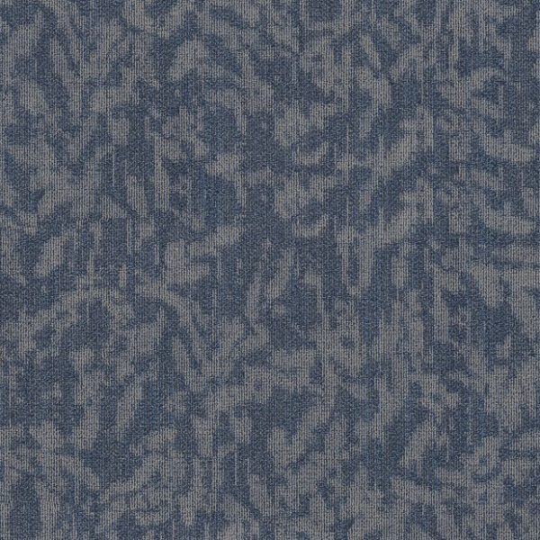 LARKSPUR 00406