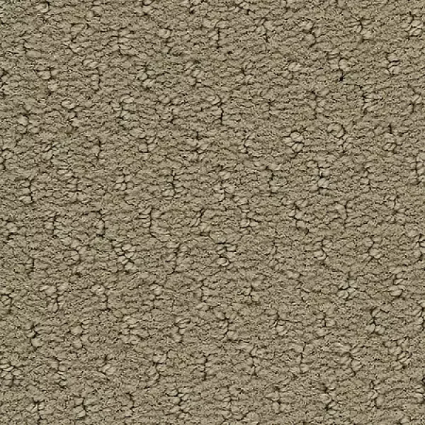 Lunar Surface