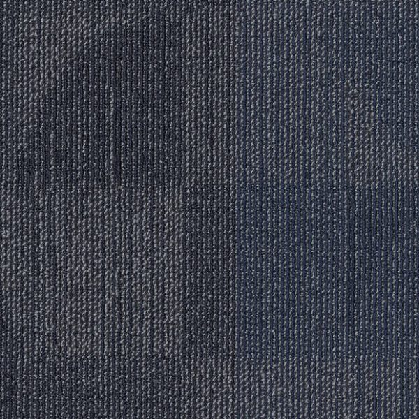 MORPH 00406