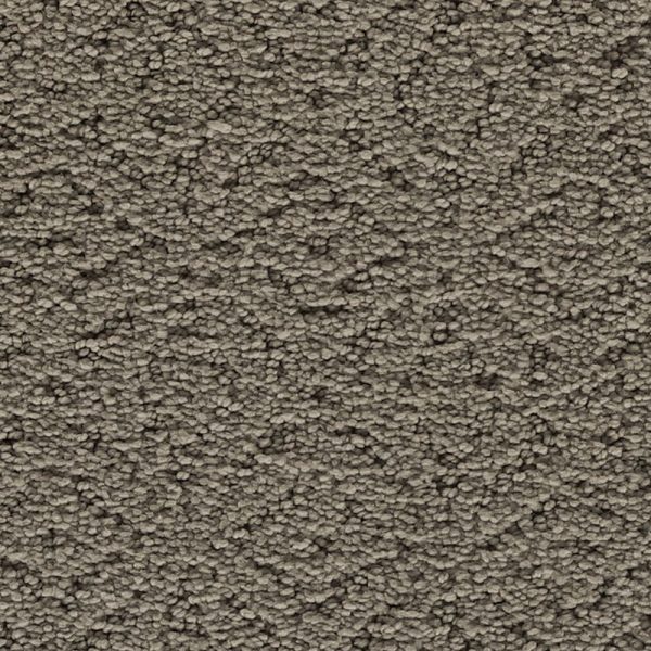 Moonlit Grey
