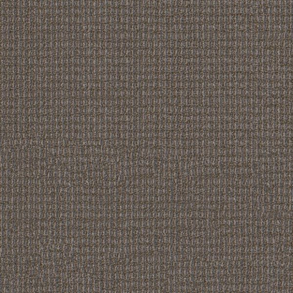 NEWS 00204